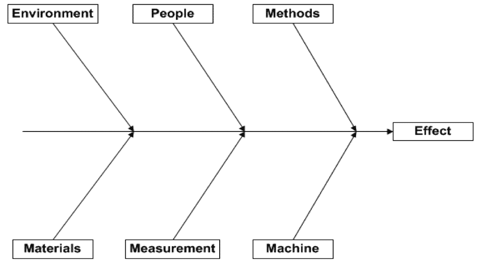 Figure 1 - Fishbones