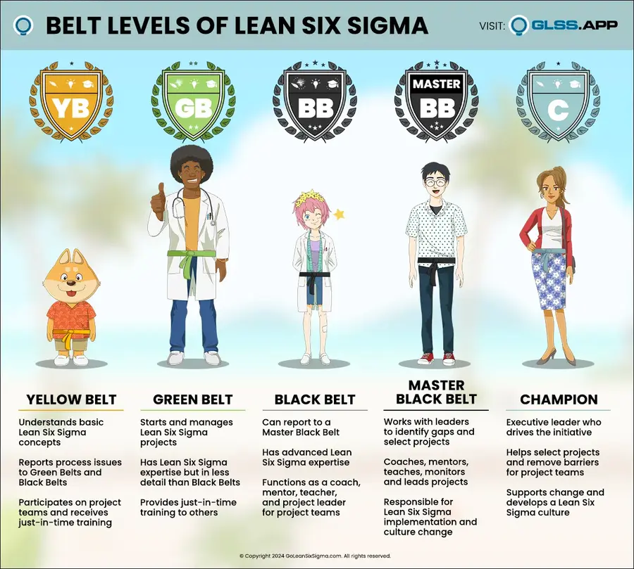 Lean Six Sigma Roles